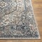 Livabliss Davaro DAV-2308 Machine Crafted Area Rug DAV2308-679 - alternate 3